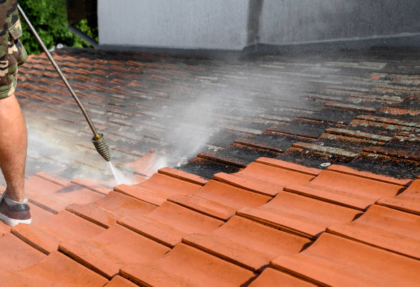 Best Affordable Pressure Washing  in Mill Bay, AK