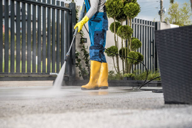 Best Pressure Washing Near Me  in Mill Bay, AK