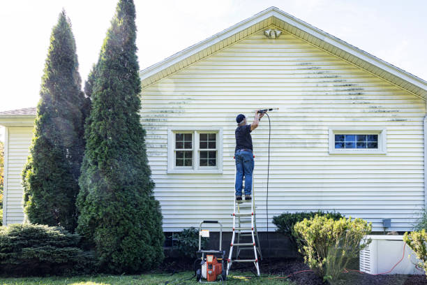 Best Pressure Washing Driveway  in Mill Bay, AK