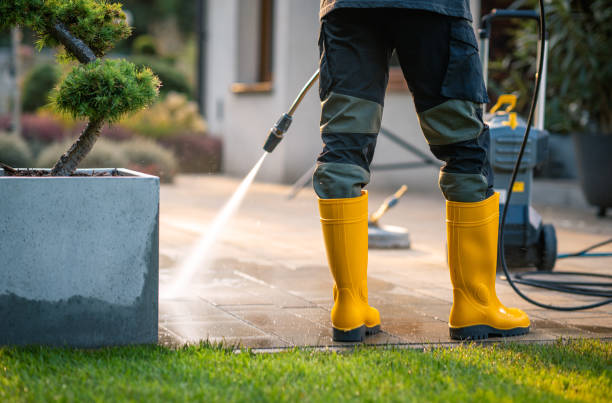 Best Power Washing Near Me  in Mill Bay, AK
